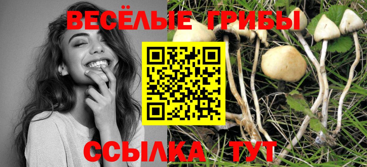 Галлюциногенные грибы Psilocybine cubensis  Вход с VPN  купить наркотики сайты  Златоуст 